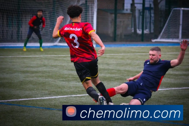 开云appAPP 封面图